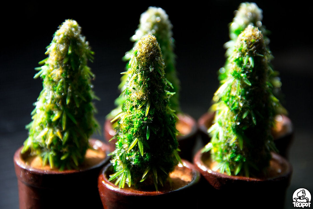 DESIGNER TOY - TEAPOT HANDMADE CHILLMAX TREE