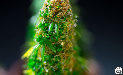 DESIGNER TOY - TEAPOT HANDMADE CHILLMAX TREE